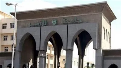 جامعة الأزهر تُحيل الدكتور إمام رمضان إمام للتحقيق بعد فتوى جواز سرقة الكهرباء